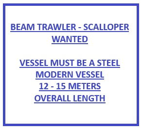 Beamer - Scalloper
