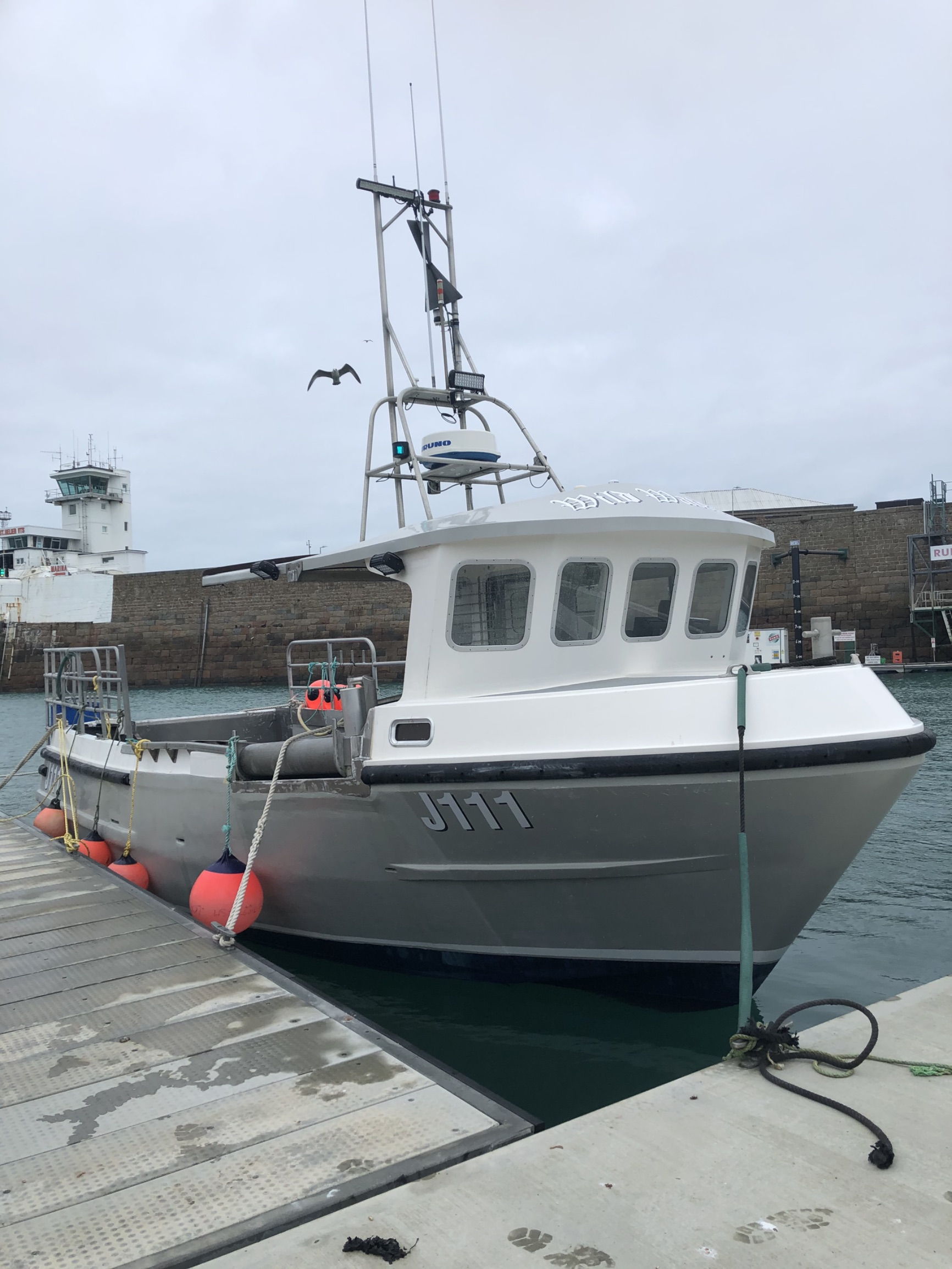 Cygnus cyfish 33