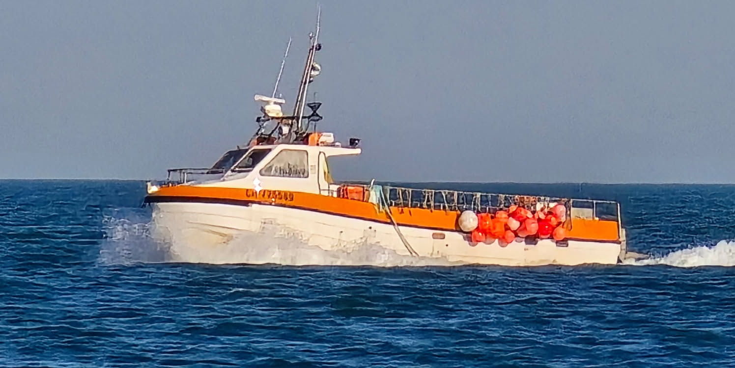 Cygnus revenge 38