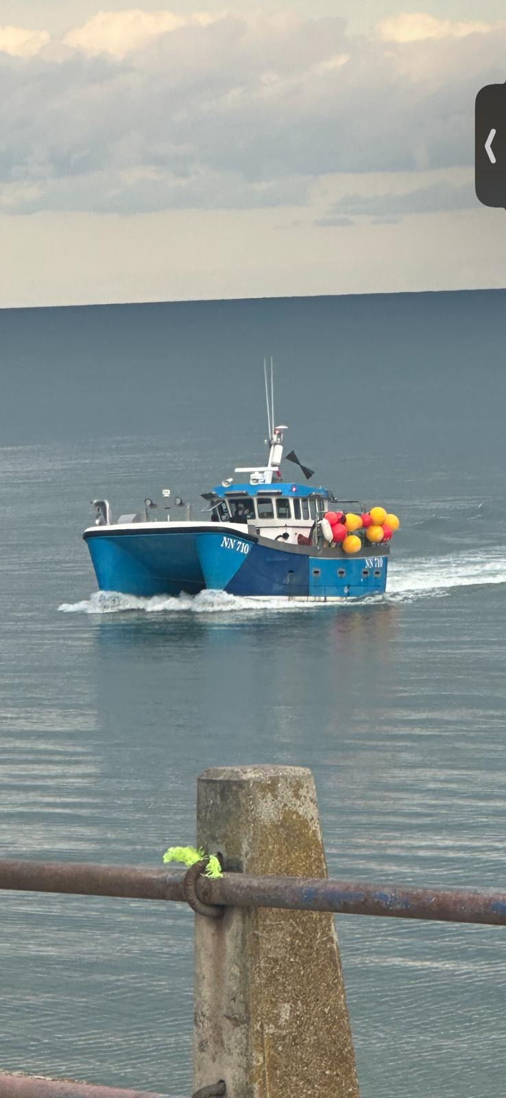 Gemini catamaran