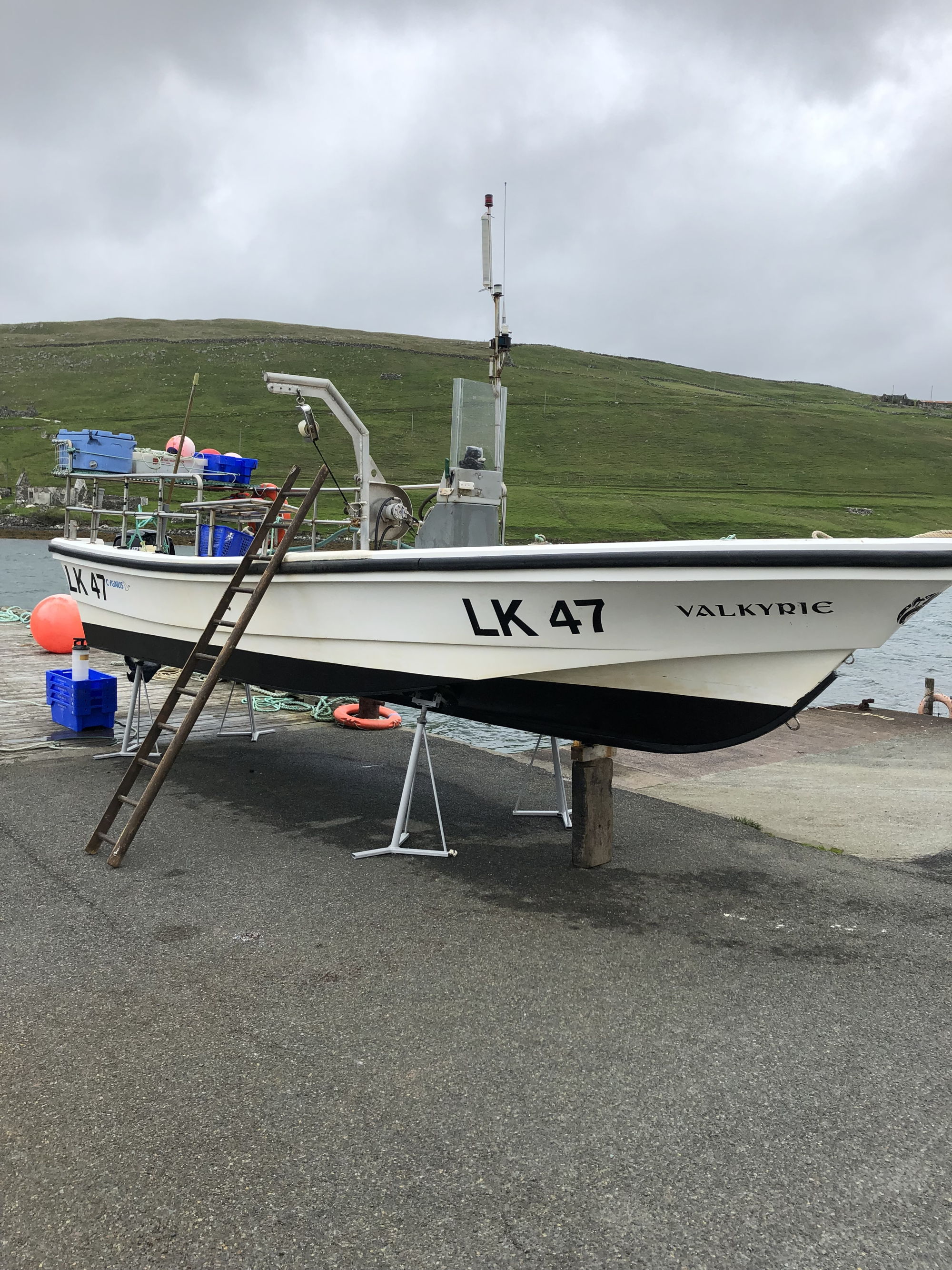 Cygnus Beachworker 26