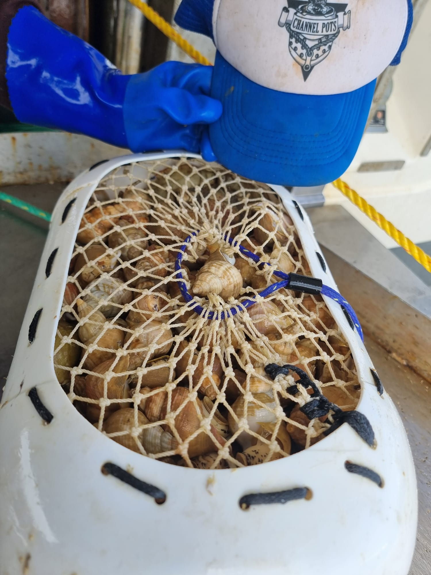 25ltr lay down whelk pots