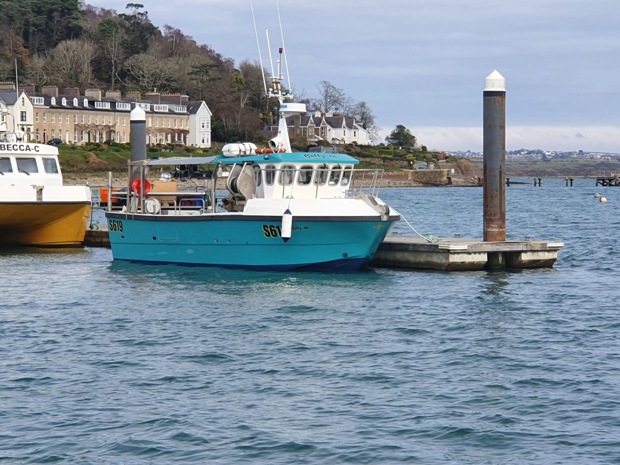 Kingfisher 31