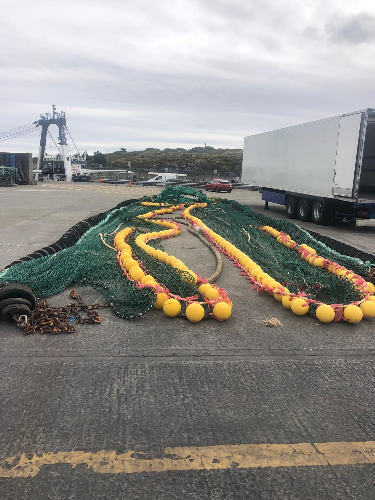 Squid Net