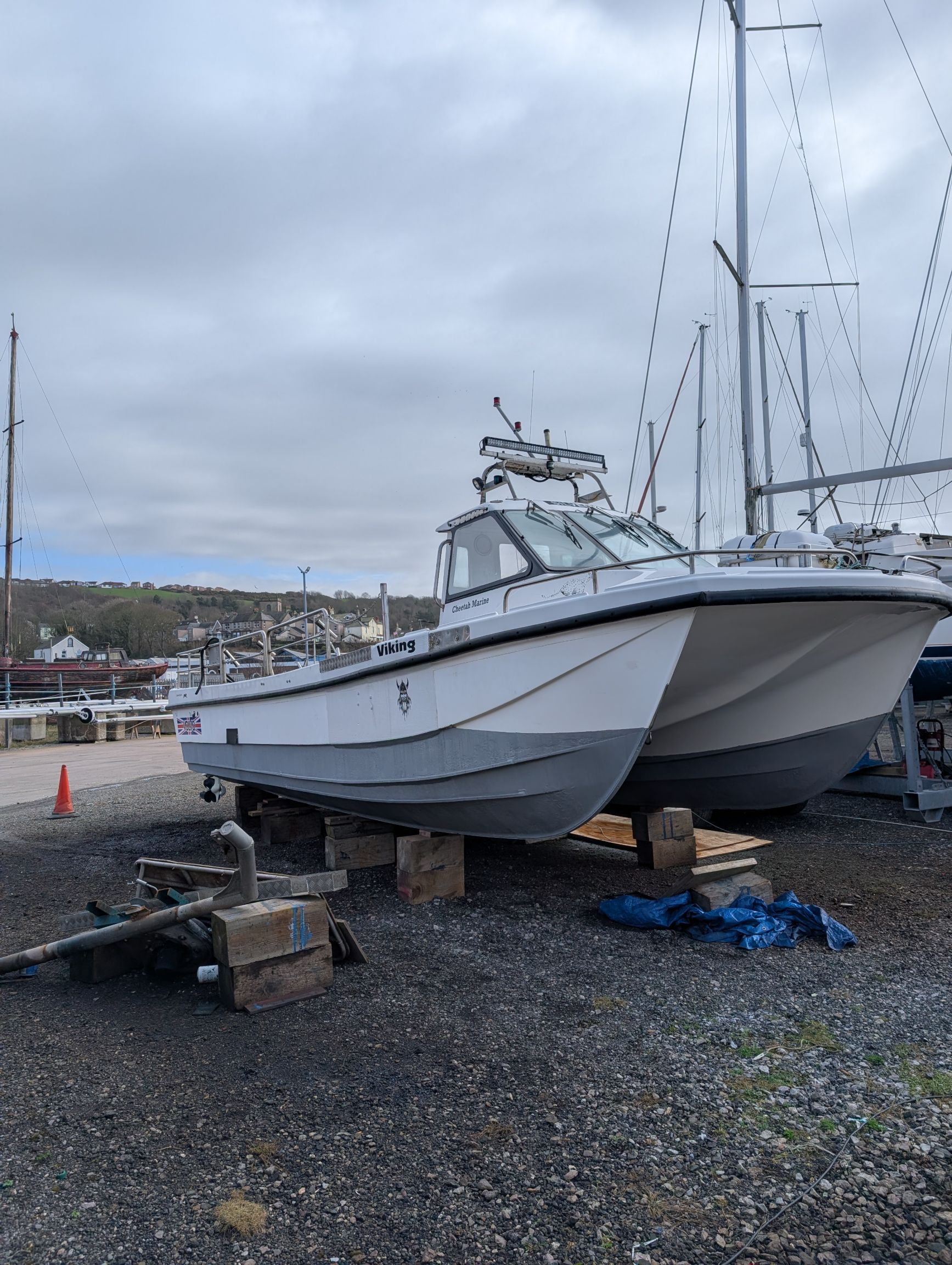 Cheetah Marine catamaran 9.5