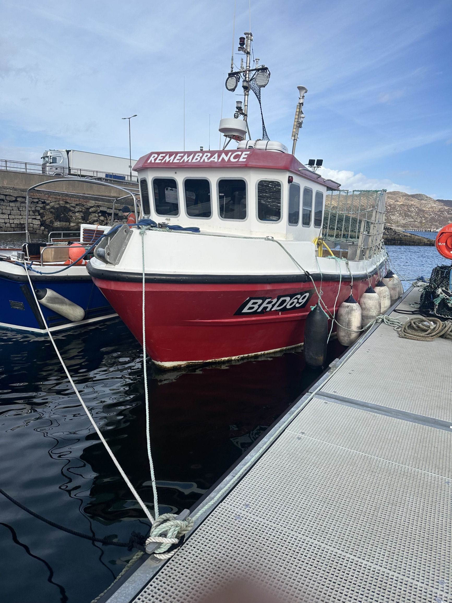CYFISH 33