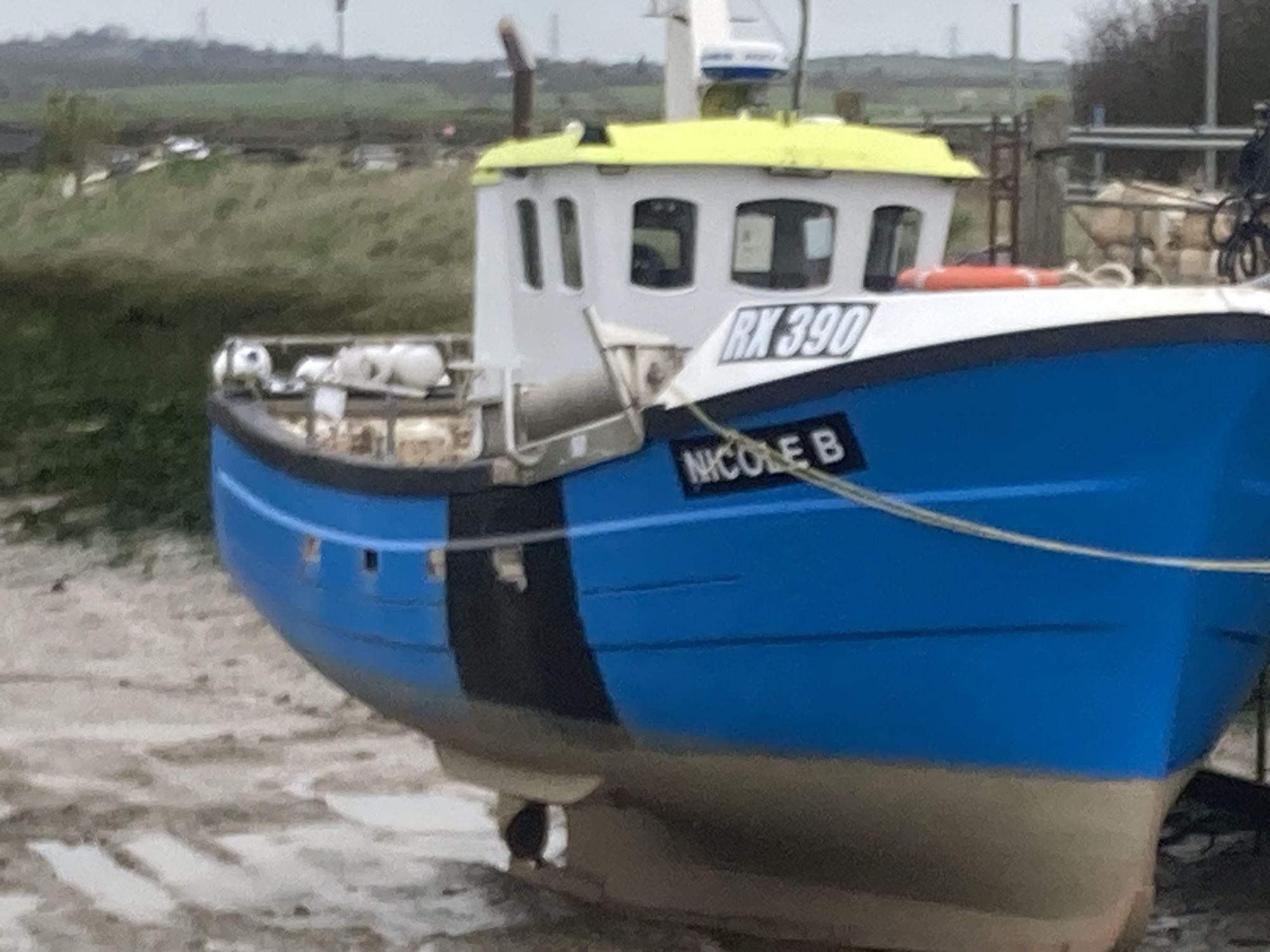 kingfisher 33