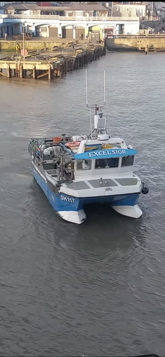 8M Cougar Catamaran