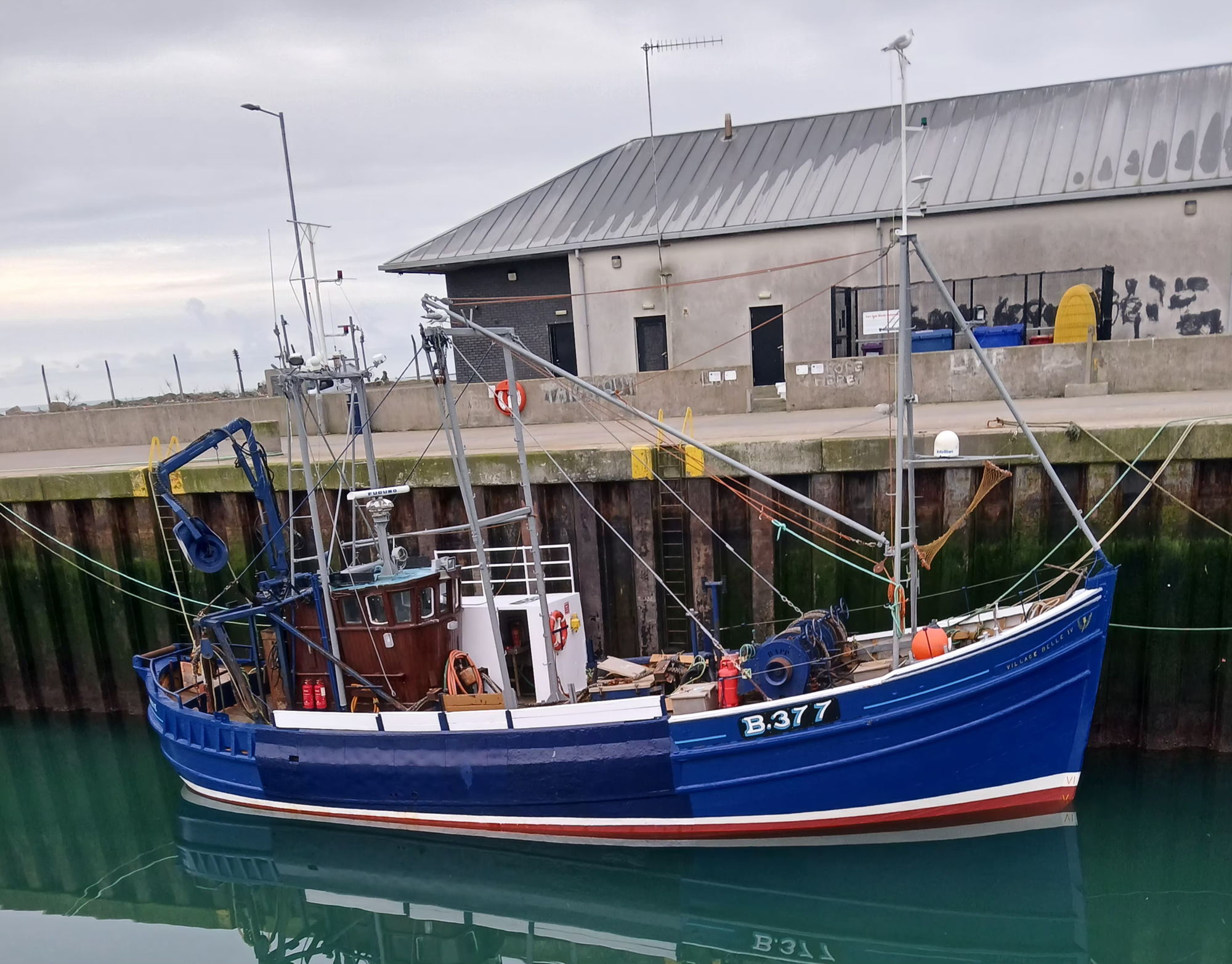 Nobles of girvan