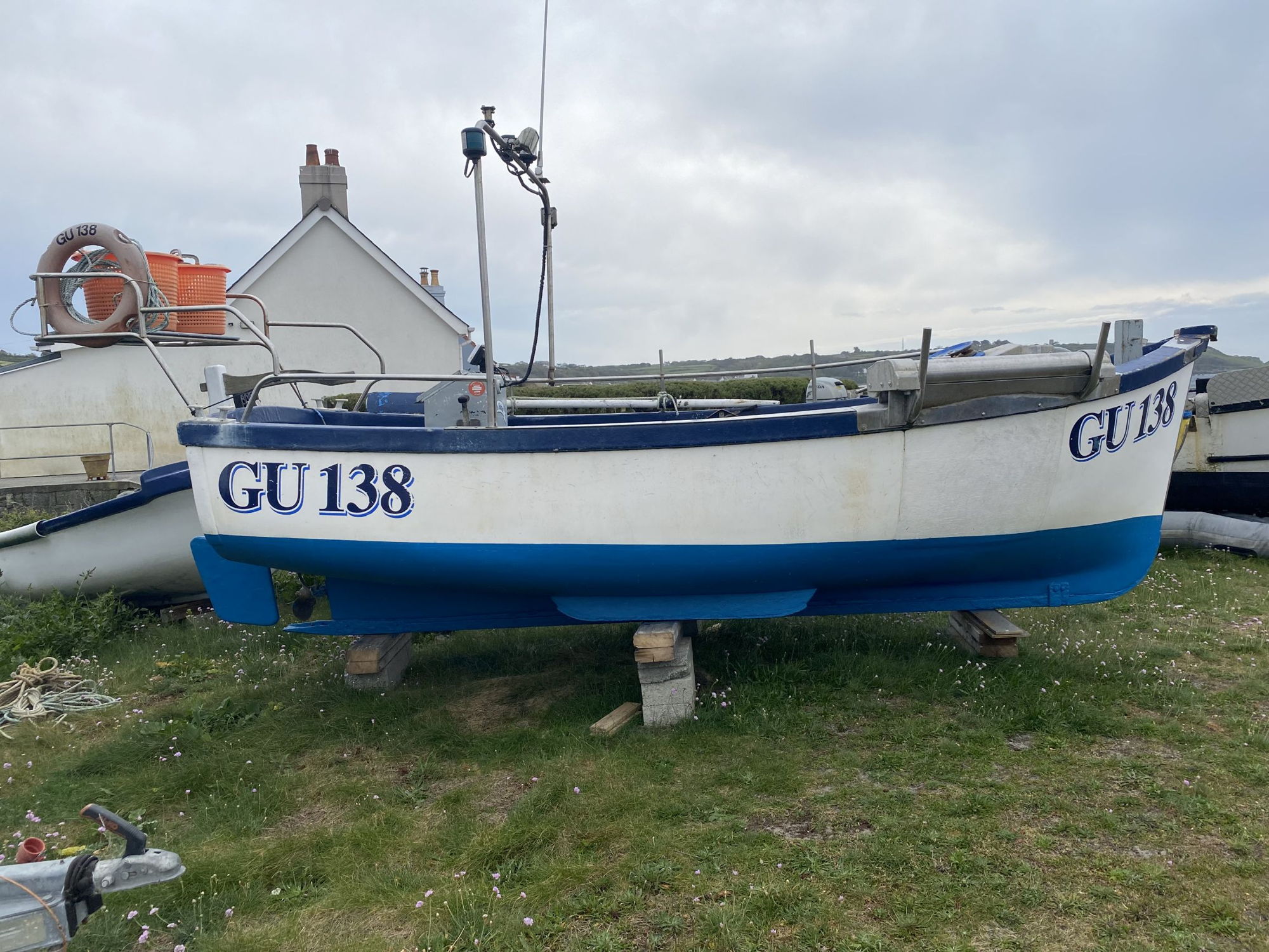 Cygnus 16
