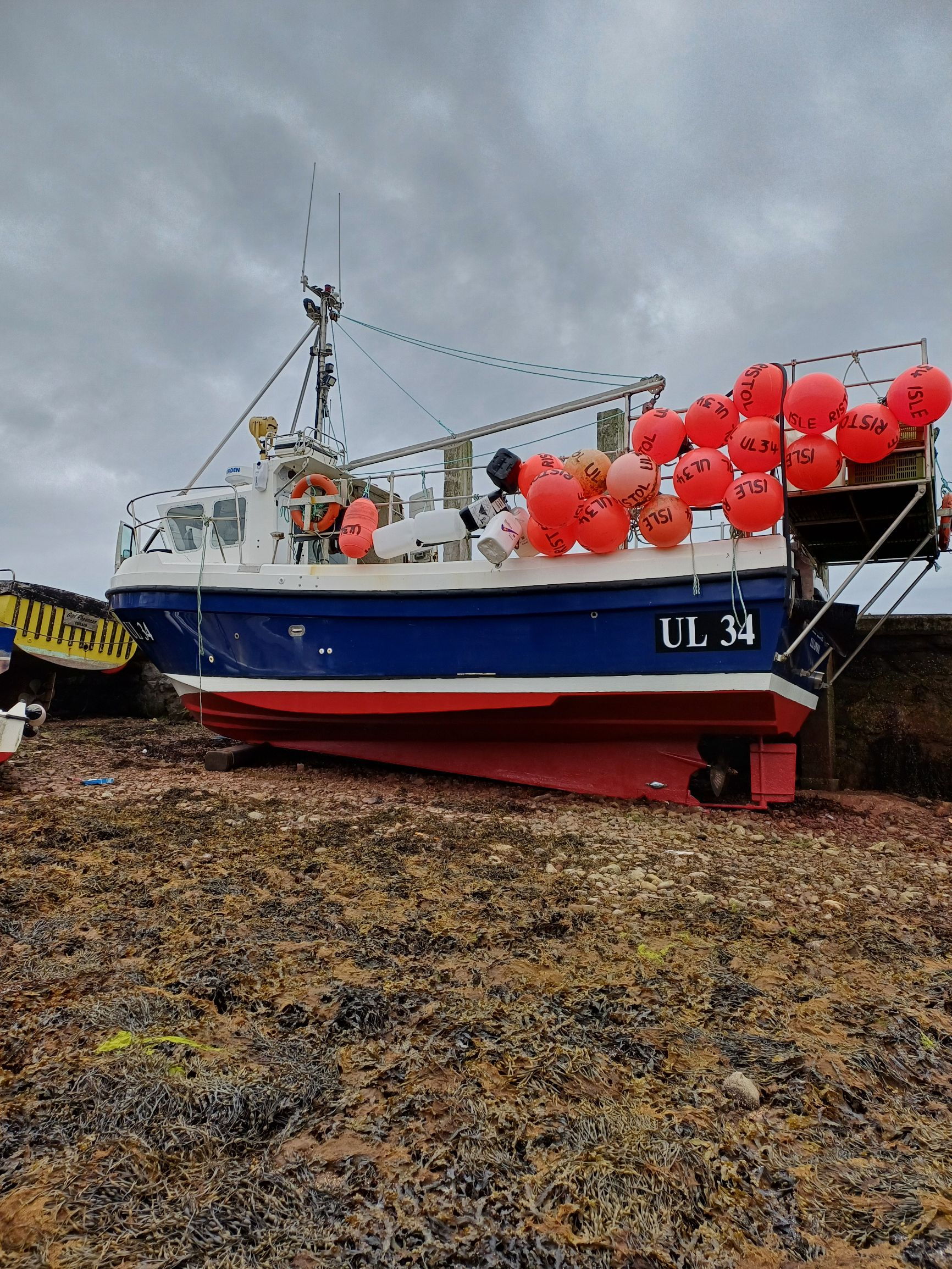 Cygnus Cyclone 30