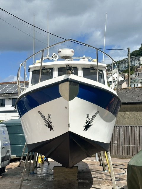 Osprey 26 Expedition