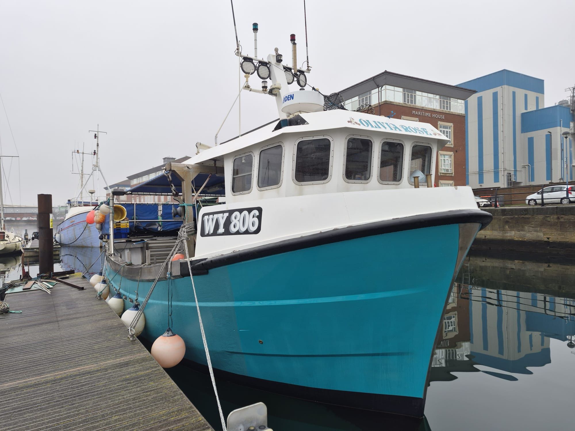 Kingfisher 33