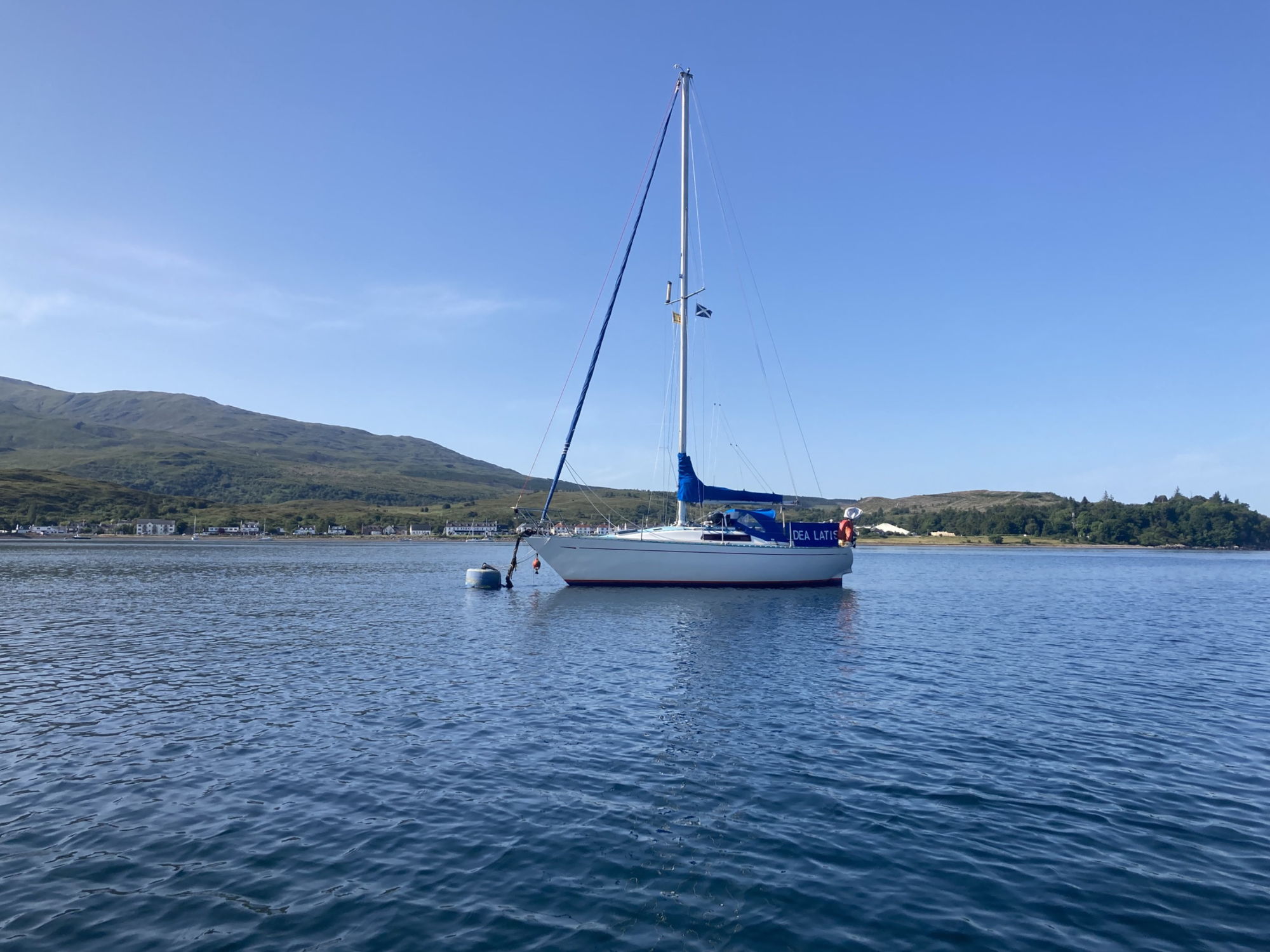 Colvin UFO 31