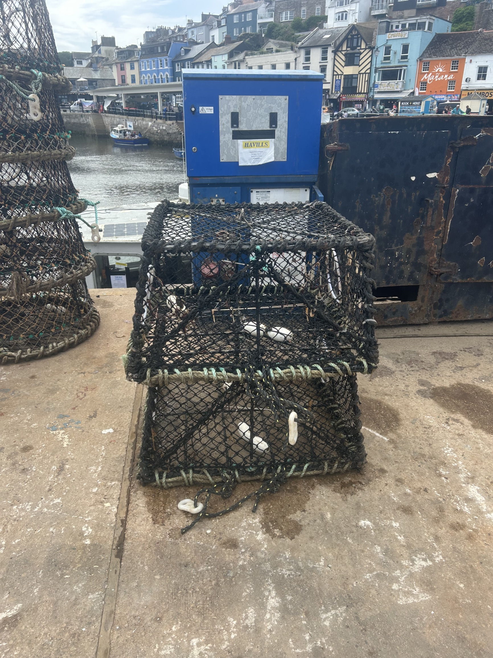 Cuttlefish traps ,60 now...