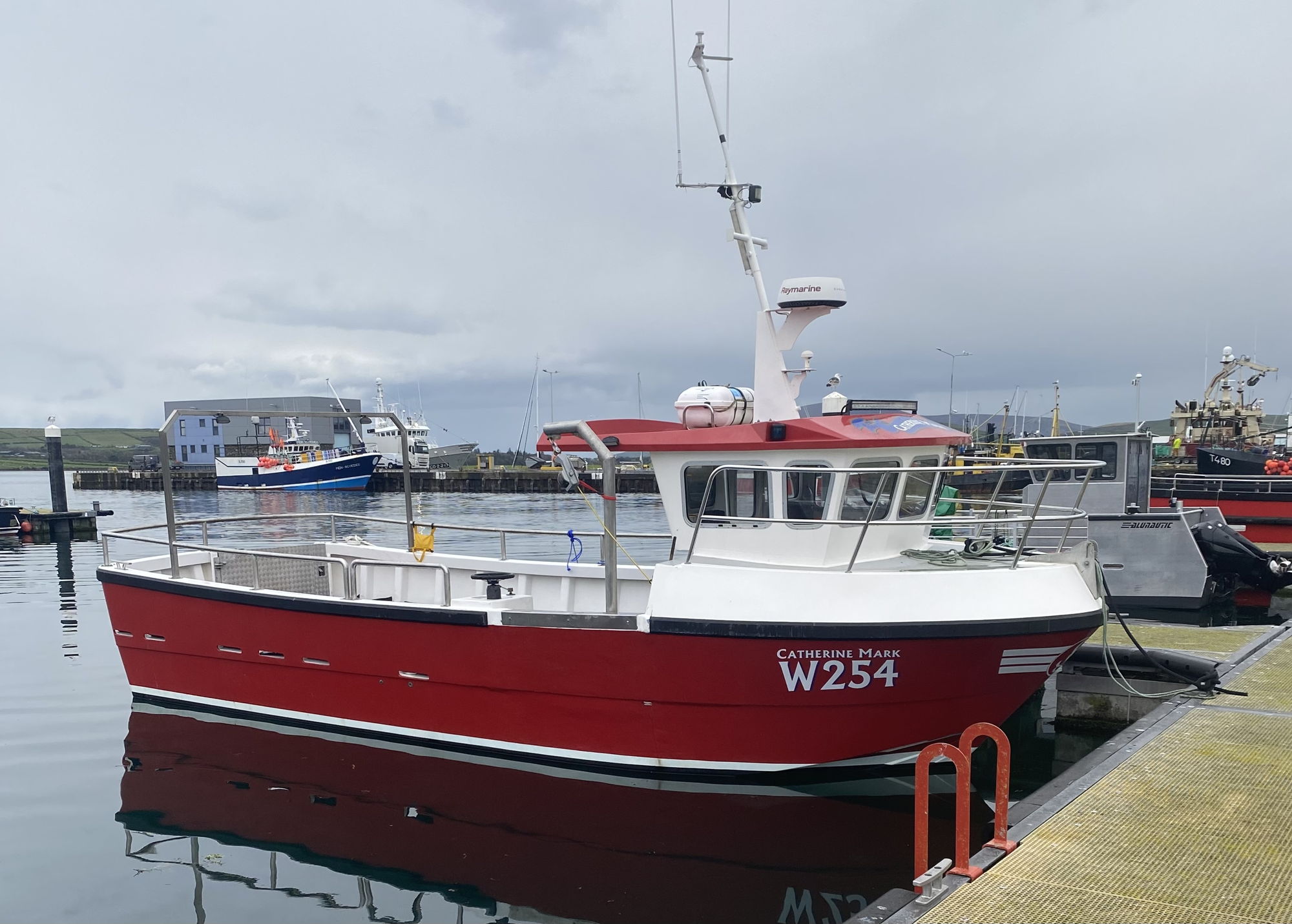 Kingfisher fastcatch 31
