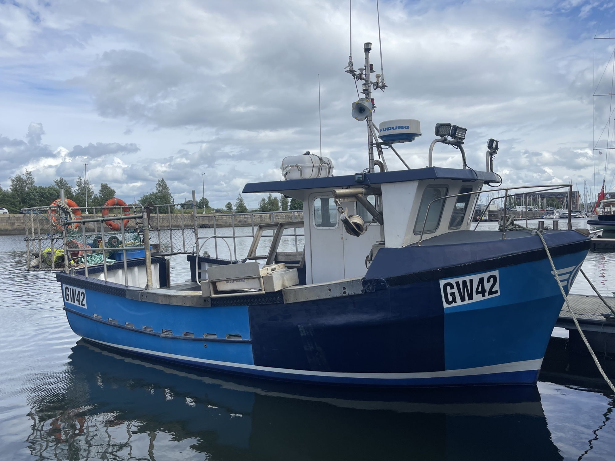 Kingfisher 26
