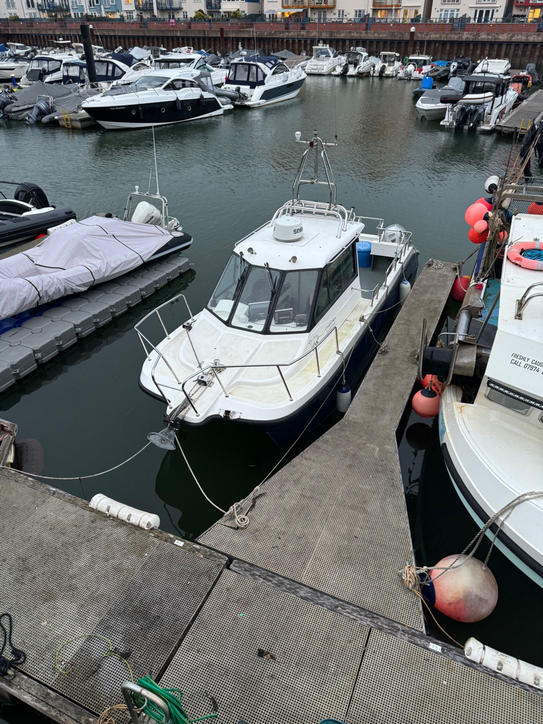 Cheetah 8.1m