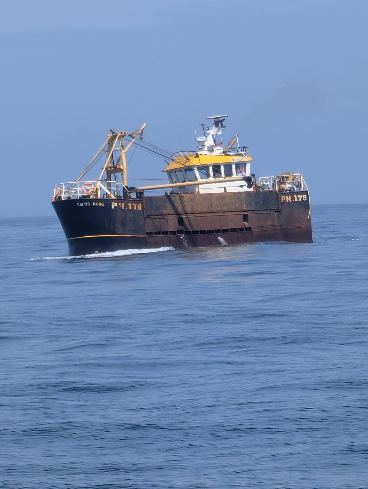 2017 8 Aside Scalloper