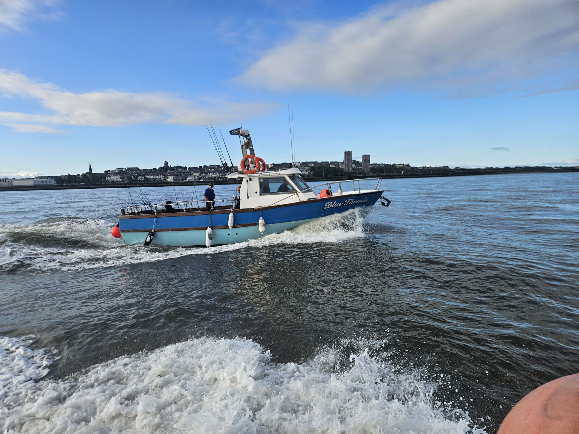 Cygnus cyfish 33