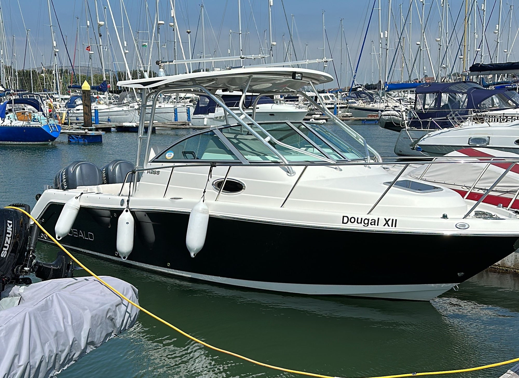 Robalo