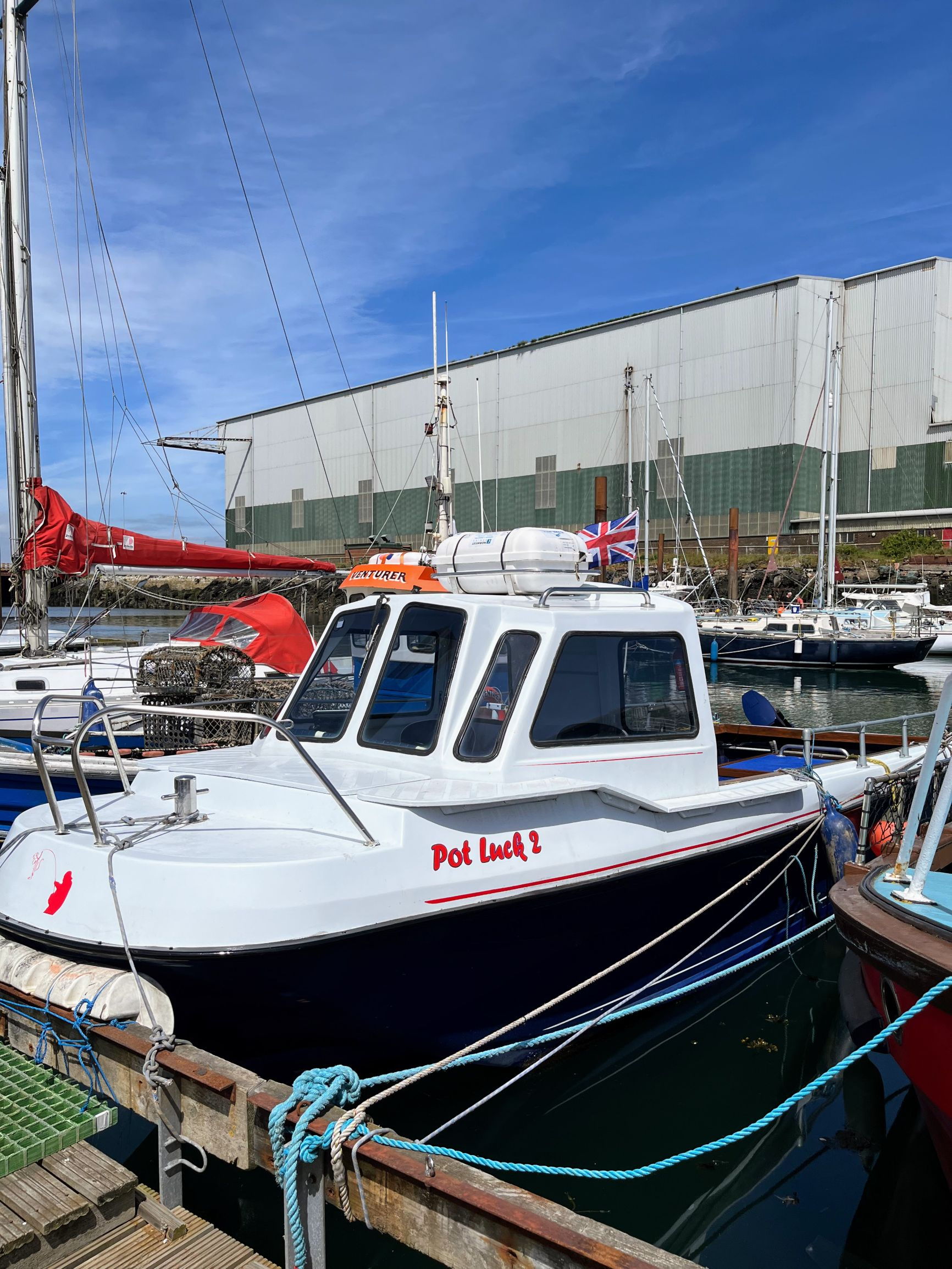 Wilson Flyer