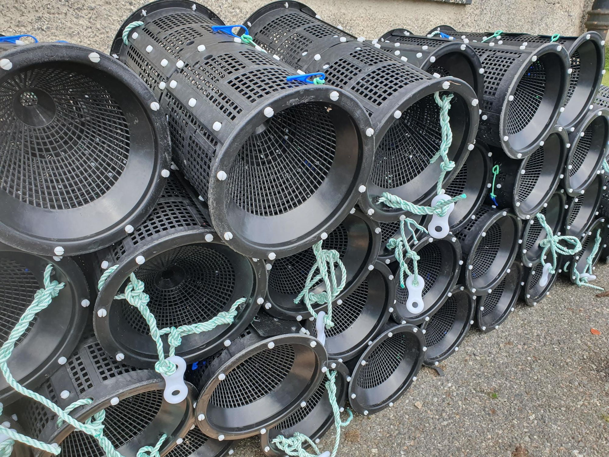80 polypot shrimp pots - As...