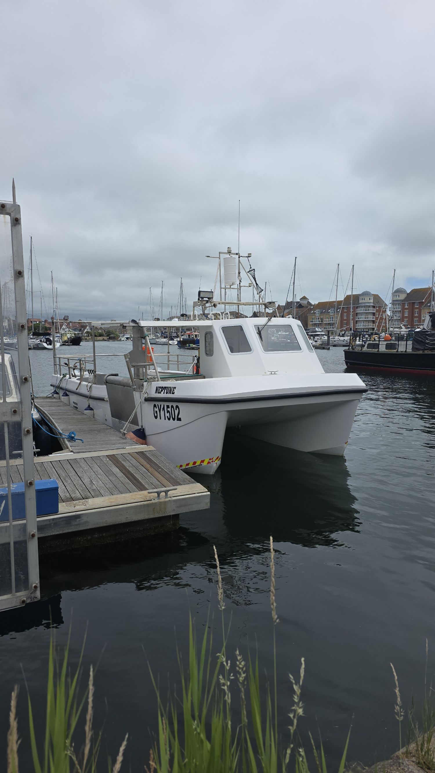 Neptune 33 Catamaran