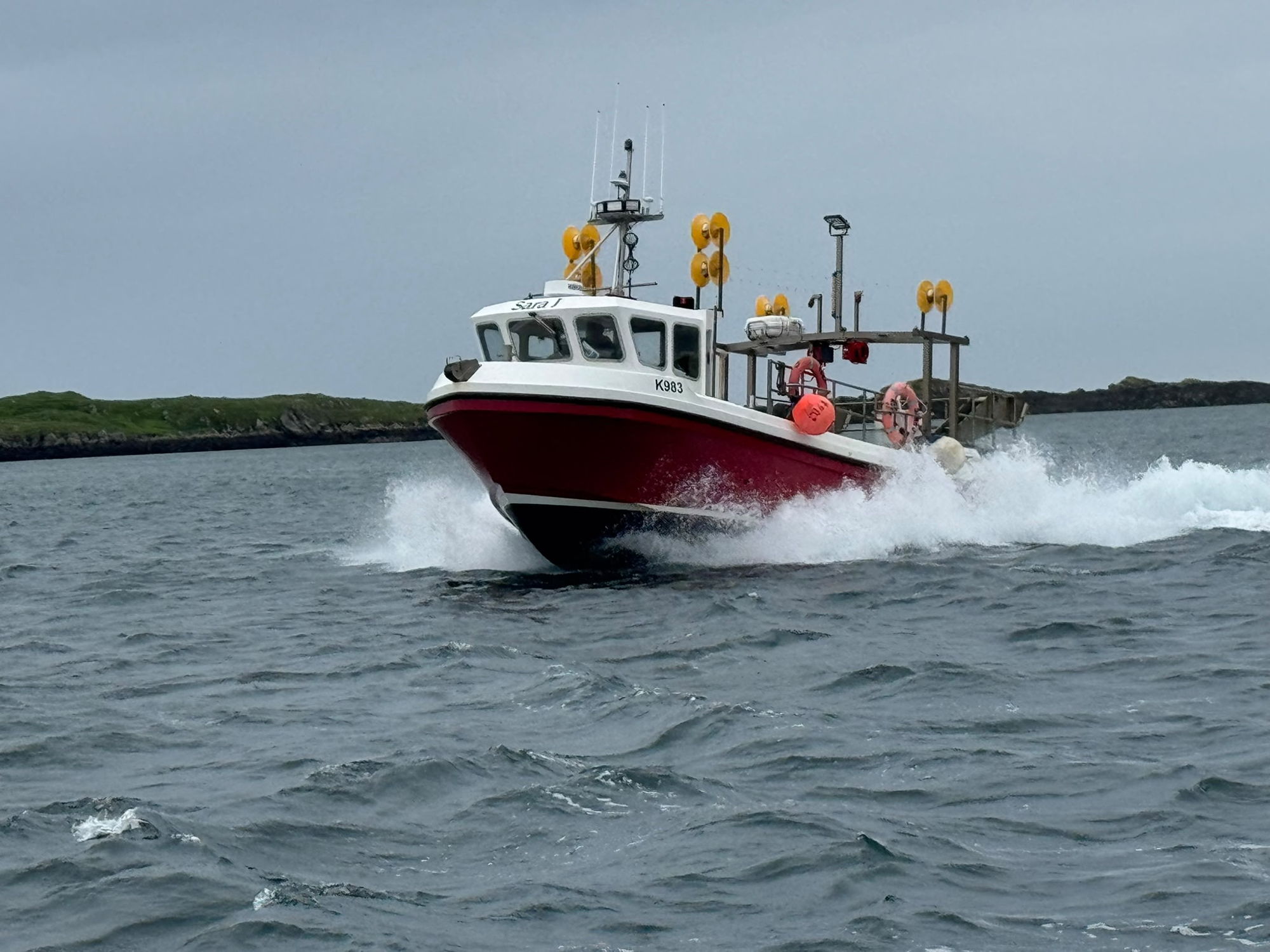 Cyclone 26