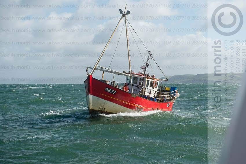 Toms of polruan
