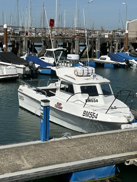 Aquafish 23